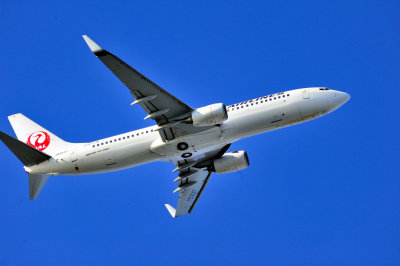 JAL's UNICEF B-737/800