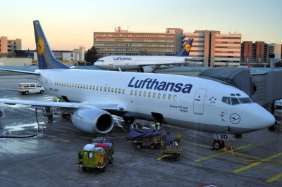 Lufthansa B-737/300 'Siegen', D-ABXD
