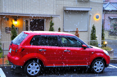 The First Snow of the Year in Chiba