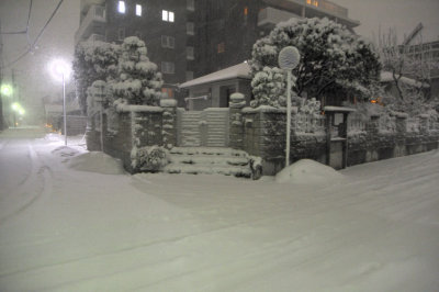 When Snow Falls in Tropical Japan Yesterday