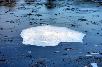 Air Bubble on Frozen Lake