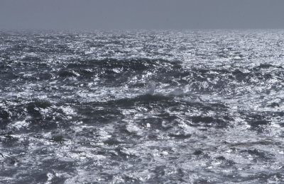 Stormy Seas...