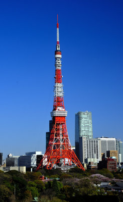 Tokyo Tower, Morning