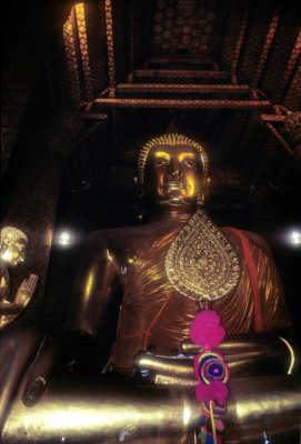 Golden Sitting Budha: Most Revered!