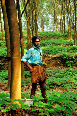 Proud Rubber Plantation Caretaker