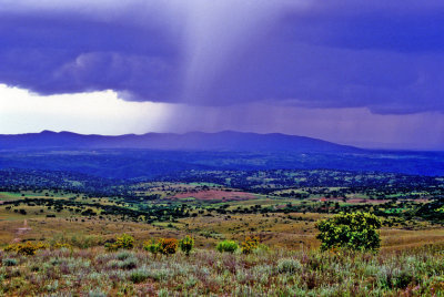 Rain Storm