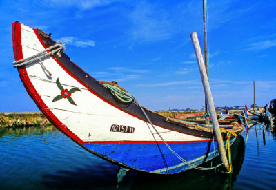 Moliceiro Boat, Decaying 