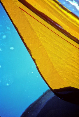 Yellow Bow