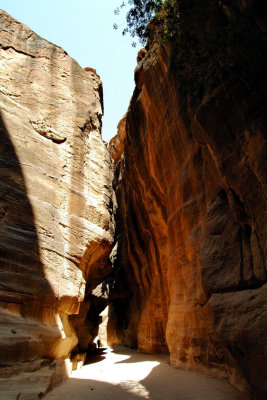 Entrance to Petra's Canyon 