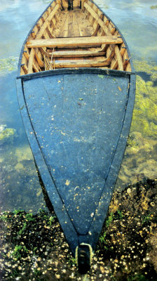 Lagoa de Obidos Typical Flat Boat 