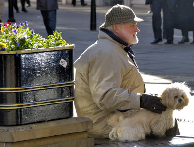 Old Gentleman and Dogs