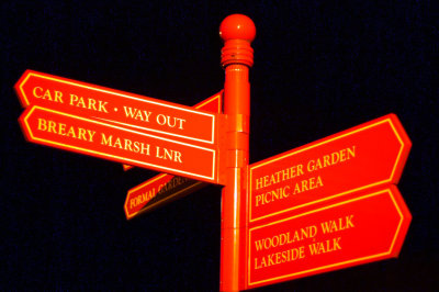 Golden Park Sign at Night