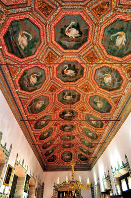 The Swans Ceiling