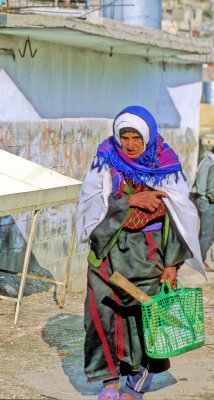 The Old Woman In the Camp 