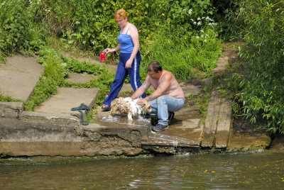 Bathing the Dog in a Public River: How British!...