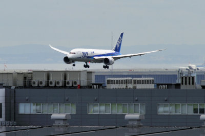 ANA's B-787/800, JA819A, Landing on Buildings