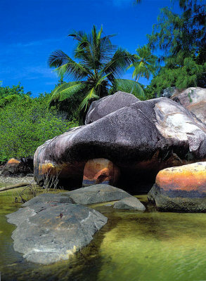 Rock on the Equatorial River