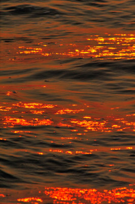 Sun Setting on the Gentle Waves of the Arabian Sea