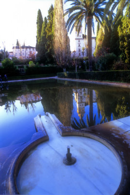 Christian Reflection a Arabic Pond 