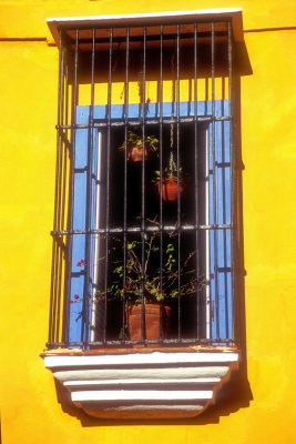 Window on Yellow House