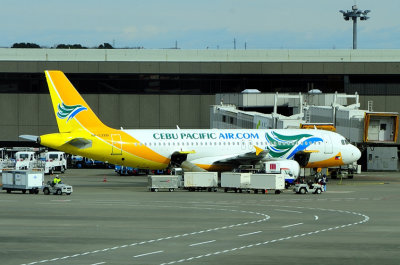 Cebu Pacific A320, RP-C3261