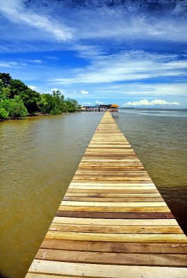 Passage Over the Mangrove