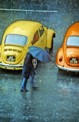 Two VW In The Rain 