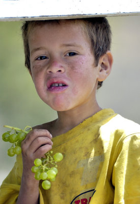 The Last Grapes of Fogo, 10 Years Before