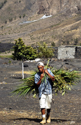 Volcano's Boy Difficult Life