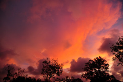 Fiery Equatorial Sunset, With Muezzin Praying, Outside My House