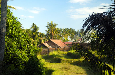 Houses on the Rice Fields
