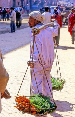 The Vegetables Salesman 