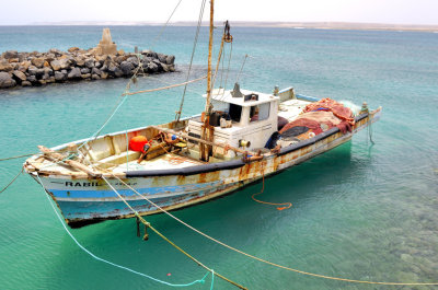 Rabil, Modern Fishing Boat
