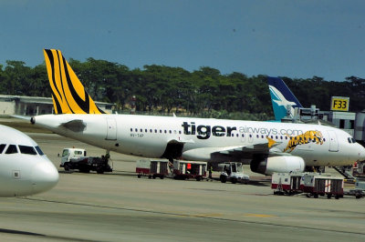 Tiger Airways A320, 9V-TAP