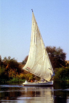 Felouka In The Placid Nile 