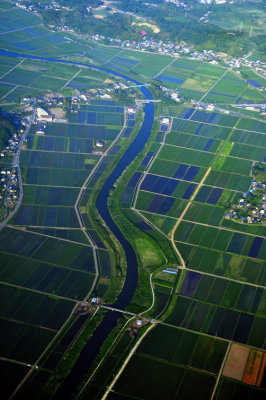 Ibaraki River and Rice Fields