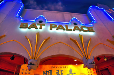 Bat Palace