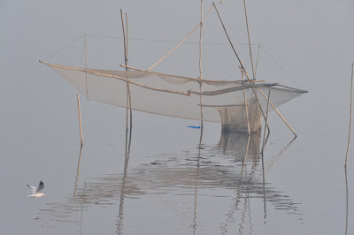 Fishing On A River Of Sewage