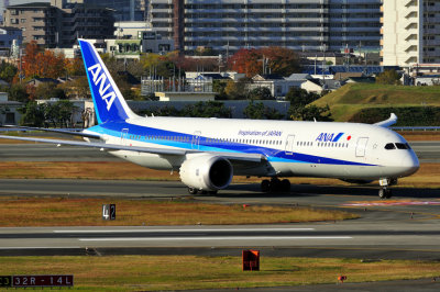 ANAs B-787-9, JA833A Arriving In Fall