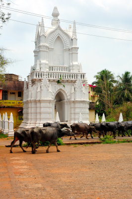 Indo-Portuguese Monument, With Herd Of Buffalo