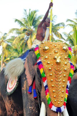 Priest On Elephant