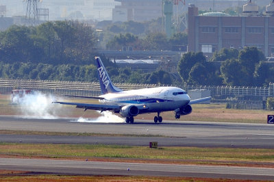 ANA's B-737/500, JA358K, Smokey Landing