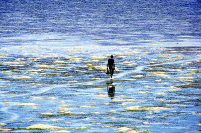 Lone Fisherman Walking In Low Tide   