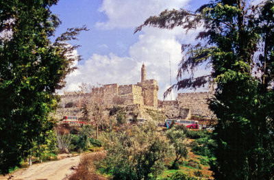 Old City  From Garden 