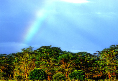 Rainbow After Torrential Rains 