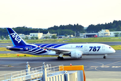 ANA's B-787-800, JA802A, My Favourite Livery