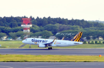 Tigerair Taiwan A320WL, B-50008 TO