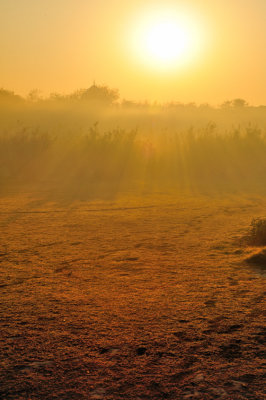 The Sun Rises In The East On The Yamuna Fields
