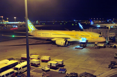 SCOOT B-787-9, 9V-OFE Being Prepared To Leave In The Morning