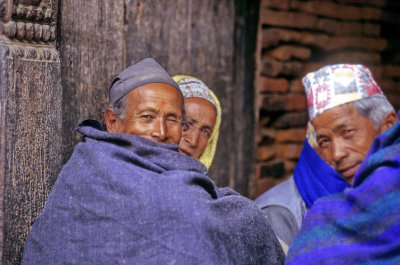 Sheltering From Cold Rain